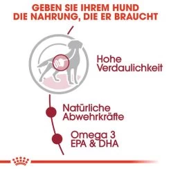 Royal Canin Medium Adult Wet - Hundefutter -Beeztees Store royal canin medium adult wet hondenvoer 143492 0500 none