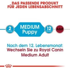 Royal Canin Medium Puppy Wet -Beeztees Store royal canin medium puppy wet 129245 0500 none