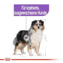 Royal Canin Medium Sterilised - Hundefutter -Beeztees Store royal canin medium sterilised hondenvoer 132911 0500 none