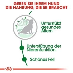 Royal Canin Mini Ageing 12+ - Hundefutter -Beeztees Store royal canin mini ageing 12 hondenvoer 128927 0500 none