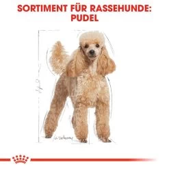Royal Canin Poodle Adult - Hundefutter -Beeztees Store royal canin poodle adult hondenvoer 139663 0500 none