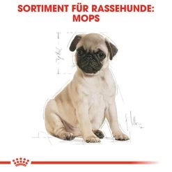 Royal Canin Pug Puppy - Hundefutter -Beeztees Store royal canin pug puppy hondenvoer 139885 0500 none