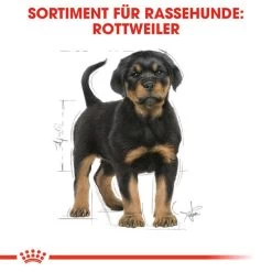 Royal Canin Rottweiler Puppy - Hundefutter -Beeztees Store royal canin rottweiler puppy hondenvoer 140029 0500 none