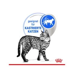 Royal Canin Sterilised Indoor 7+ In Gravy -Beeztees Store royal canin sterilised indoor 7 in gravy kattenvoer 165250 0500 none