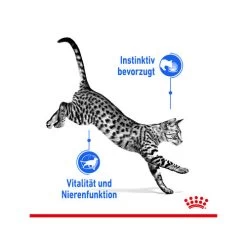 Royal Canin Sterilised Indoor 7+ In Gravy -Beeztees Store royal canin sterilised indoor 7 in gravy kattenvoer 165253 0500 none