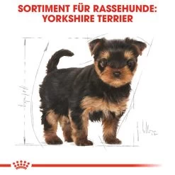 Royal Canin Yorkshire Terrier Puppy - Hundefutter -Beeztees Store royal canin yorkshire terrier puppy hondenvoer 140804 0500 none