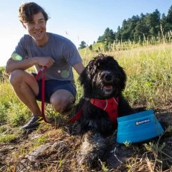 Ruffwear Bivy Bowl -Beeztees Store ruffwear bivy bowl 204692 0500 none