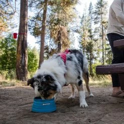 Ruffwear Bivy Bowl -Beeztees Store ruffwear bivy bowl 204698 0500 none