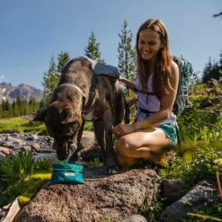 Ruffwear Flat Out Dog Collar - Alpenglow Burst -Beeztees Store ruffwear flat out dog collar alpenglow burst 204812 0500 none