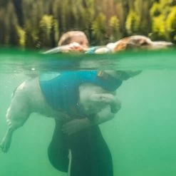 Ruffwear Float Coat -Beeztees Store ruffwear float coat 204761 0500 none