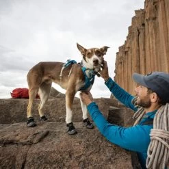 Ruffwear Grip Trex Boots -Beeztees Store ruffwear grip trex boots 204740 0500 none