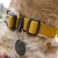 Ruffwear Hi & Light Halsband -Beeztees Store ruffwear hi light collar 194258 0500 none
