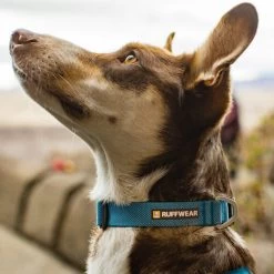 Ruffwear Hi & Light Halsband -Beeztees Store ruffwear hi light collar 194264 0500 none
