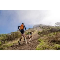 Ruffwear Hi & Light Harness -Beeztees Store ruffwear hi light harness 196016 0500 none