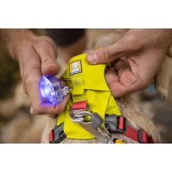 Ruffwear Hi & Light Harness -Beeztees Store ruffwear hi light harness 196031 0500 none