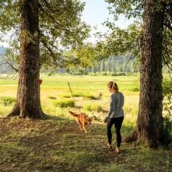 Ruffwear Knot-a-Hitch -Beeztees Store ruffwear knot a hitch 124643 0500 none