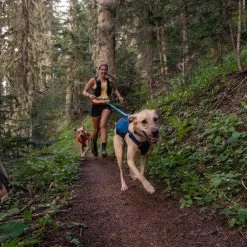 Ruffwear Roamer Leash - Blue Atoll -Beeztees Store ruffwear roamer leash blue atoll 204797 0500 none
