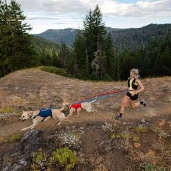 Ruffwear Roamer Leash - Blue Atoll -Beeztees Store ruffwear roamer leash blue atoll 204800 0500 none