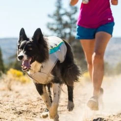 Ruffwear Swamp Cooler -Beeztees Store ruffwear swamp cooler 124703 0500 none