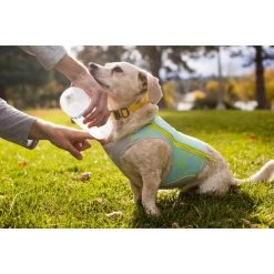 Ruffwear Swamp Cooler Zip -Beeztees Store ruffwear swamp cooler zip vest 196304 0500 none