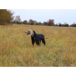 RukkaPets Protect Overall -Beeztees Store rukkapets protect overall zwart 216401 0500 none