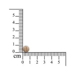 Geria Comfort - Kleine Haustiere -Beeztees Store sensipharm geria comfort kleine huisdieren 174883 0500 none