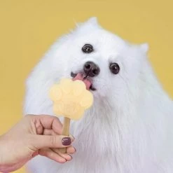 Smoofl Hundeeis Starter Kit 17 Smoofl Hundeeis Starter Kit -Beeztees Store smoofl dog ice starter kit 195155 0500 none