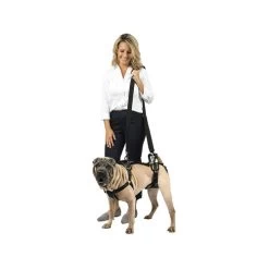 PetSafe Carelift - Tragesystem / Tragegeschirr Für Hunde 12 PetSafe Carelift - Tragesystem / Tragegeschirr Für Hunde -Beeztees Store solvit carelift draagsysteem voor de hond 163693 0500 none