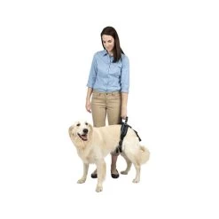 PetSafe Carelift - Tragesystem / Tragegeschirr Für Hunde 16 PetSafe Carelift - Tragesystem / Tragegeschirr Für Hunde -Beeztees Store solvit carelift draagsysteem voor de hond 163702 0500 none