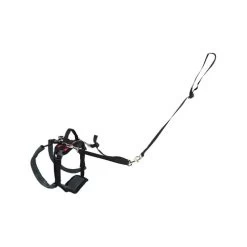 PetSafe Carelift - Tragesystem / Tragegeschirr Für Hunde 13 PetSafe Carelift - Tragesystem / Tragegeschirr Für Hunde -Beeztees Store solvit carelift draagsysteem voor de hond 163708 0500 none