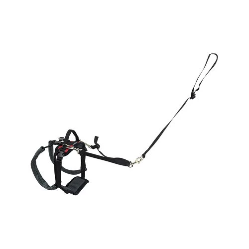 PetSafe Carelift - Tragesystem / Tragegeschirr Für Hunde 5 PetSafe Carelift - Tragesystem / Tragegeschirr Für Hunde – Bild 5