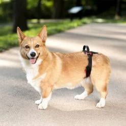 PetSafe Carelift - Tragesystem / Tragegeschirr Für Hunde 17 PetSafe Carelift - Tragesystem / Tragegeschirr Für Hunde -Beeztees Store solvit carelift draagsysteem voor de hond 163711 0500 none