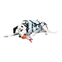 Suitical DRY Cooling Vest 10 Suitical DRY Cooling Vest -Beeztees Store suitical dry cooling vest 149882 0500 none