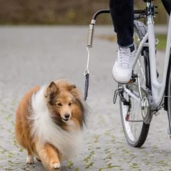 Trixie Biker-Set 5 Trixie Biker-Set -Beeztees Store trixie fiets set 178264 0500 none