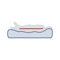 Trixie Vital Orthopädische Matratze Lonni -Beeztees Store trixie vital ligmat lonni 217058 0500 none