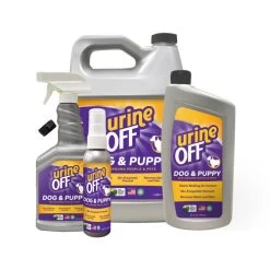 Urine Off Hund
