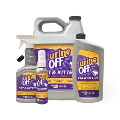 Urine Off Katze