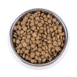 Vetality Gastrointestinal Low Fat - Hundefutter 7 Vetality Gastrointestinal Low Fat - Hundefutter -Beeztees Store vetality gastrointestinal low fat hondenvoer 195272 0500 none