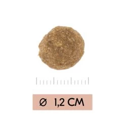 Vetality Gastrointestinal Low Fat - Hundefutter 6 Vetality Gastrointestinal Low Fat - Hundefutter -Beeztees Store vetality gastrointestinal low fat hondenvoer 195467 0500 none