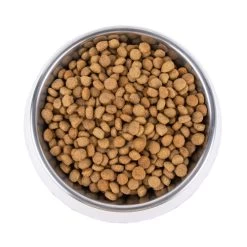 Vetality Metabolic & Mobility - Hundefutter 9 Vetality Metabolic & Mobility - Hundefutter -Beeztees Store vetality metabolic mobility hondenvoer 195275 0500 none