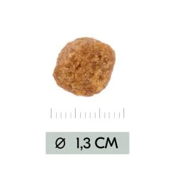 Vetality Metabolic & Mobility - Hundefutter 7 Vetality Metabolic & Mobility - Hundefutter -Beeztees Store vetality metabolic mobility hondenvoer 195470 0500 none