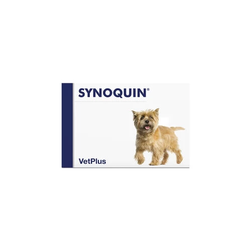 Vetplus Synoquin 2 Vetplus Synoquin – Bild 2