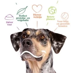 Yarrah - Bio Trockenfutter Vega Getreidefrei -Beeztees Store yarrah bio droogvoer hond vega graanvrij 201212 0500 none