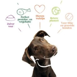 Yarrah - Getreidefreies Trockenfutter Bio 7 Yarrah - Getreidefreies Trockenfutter Bio -Beeztees Store yarrah droogvoer hond graanvrij bio 201170 0500 none