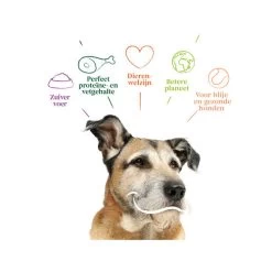 Yarrah - Trockenfutter Senior Mit Huhn, Fisch Und Kräutern Bio -Beeztees Store yarrah droogvoer hond senior bio 201146 0500 none