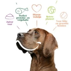 Yarrah - Trockenfutter Sensitiv Mit Huhn Und Reis Bio -Beeztees Store yarrah droogvoer hond sensitive bio 199148 0500 none