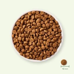 Yarrah - Trockenfutter Für Welpen Mit Huhn Bio -Beeztees Store yarrah droogvoer puppy bio 199694 0500 none