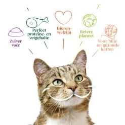 Yarrah - Katzenfutter Paté Rind Mit Chicorée Bio -Beeztees Store yarrah pat kat kuipje met rund bio 201059 0500 none