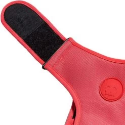 Zee.Dog Adjustable Air Mesh Harness -Beeztees Store zeedog adjustable air mesh harness 215576 0500 none