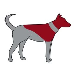 ZenPet Pro Collar 12 ZenPet Pro Collar -Beeztees Store zenpet pro collar 193865 0500 none